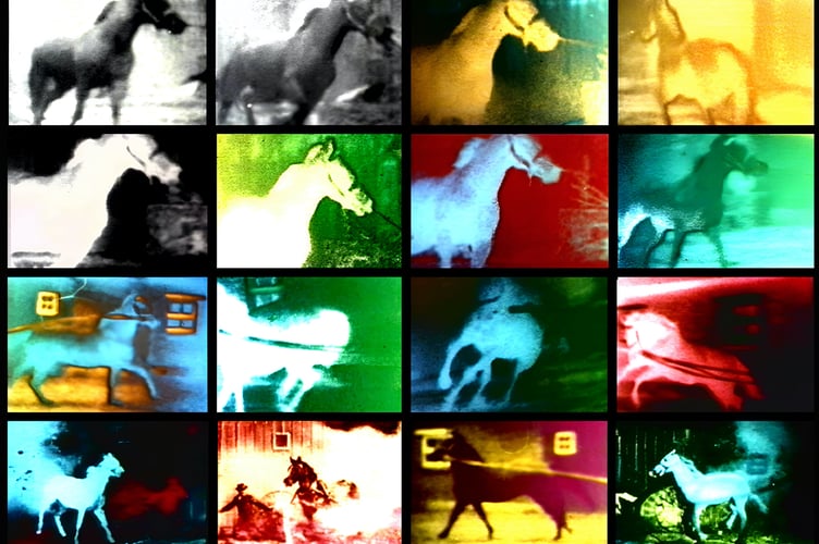 Malcolm Le Grice Berlin Horse 