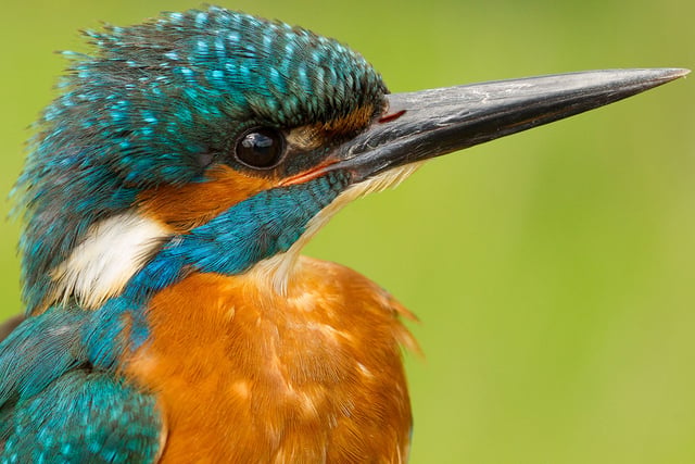 Brent Birders organise talk by ecologist John Walters