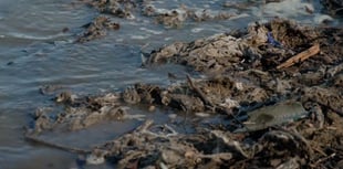 Call for action on ‘chronic’ Kingsbridge sewage problems
