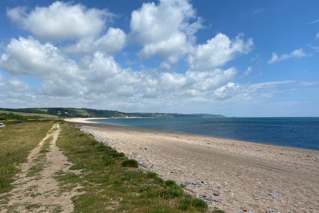A chance to collect free trees in Slapton