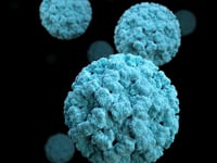Norovirus cases hit record highs, UKHSA warns