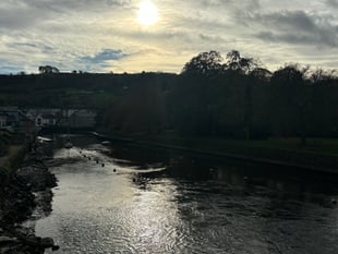 Letters 28 November