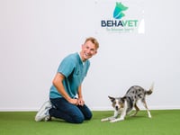 Devon vet fetches UK’s most dog-friendly vet practice