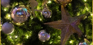 Devon & Cornwall Police launch festive safety campaign