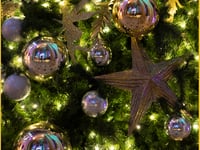 Devon & Cornwall Police launch festive safety campaign