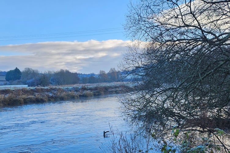 Frosty River Dart Carolyn Norris