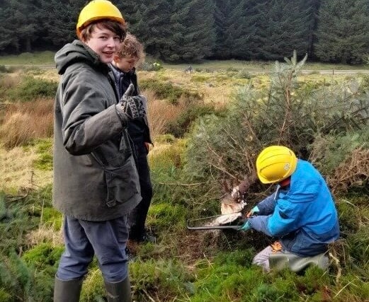Final call to apply for young people's 'green' course on Dartmoor