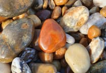 Nature Diary by Alice Henderson | Shorelines part two