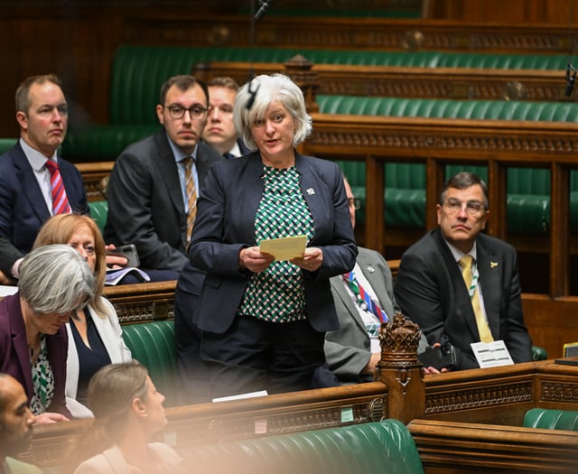 Social care ‘in crisis’ as long-awaited report is delayed 