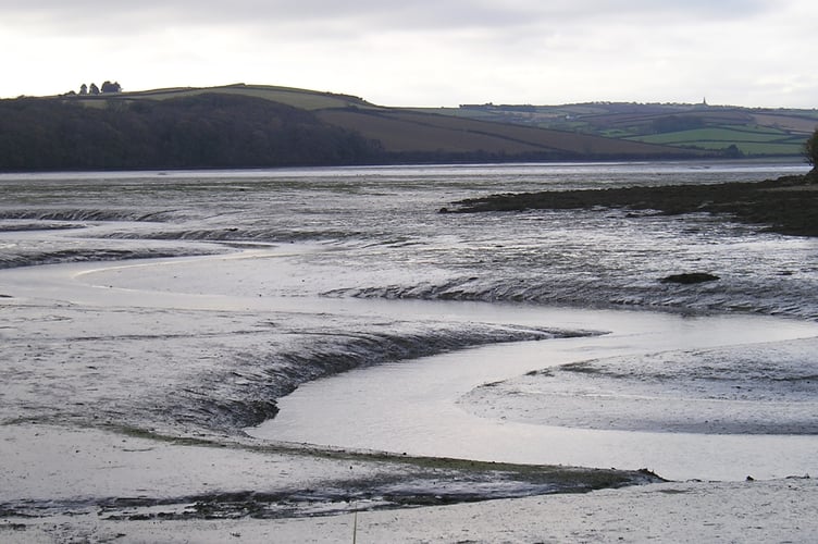Mud, mud ... the stuff of our glorious estuaries - Nigel Mortimer