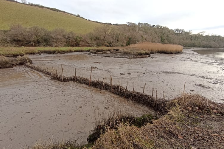 Dart Estuary - work to conserve, enhance and restore saltmarsh - Nigel Mortimer