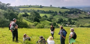 Devon’s newest rainforest takes root near Totnes