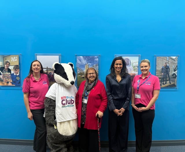 Big Brush Club aims to reduce childhood tooth decay