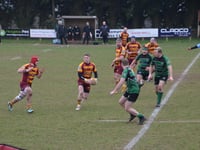 Semi-final slip-up for Ivybridge RFC