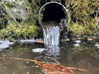 Richard Howell | Time to flush the excuses