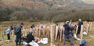 Plan to re-establish ancient woodland is underway