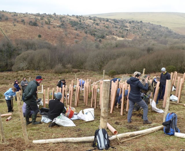 Plan to re-establish ancient woodland is underway