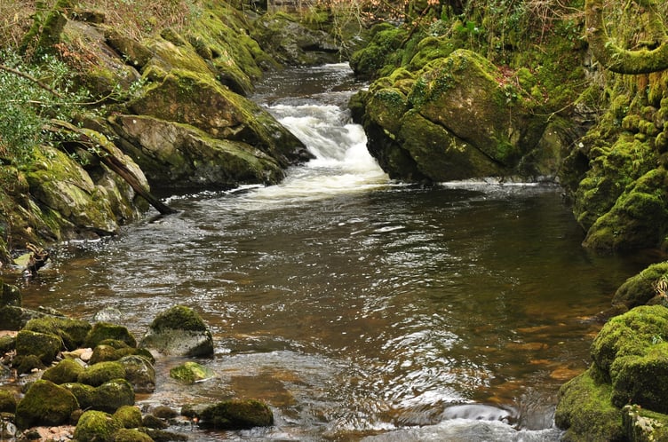 River Erme in Ivybridge - Nilfanion