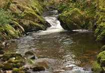 Readers Letters | February 27