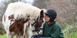 Rehome a pony and give another a lifeline