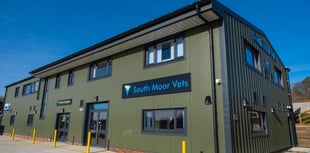 South Moor Vets joins XLVets as expansion continues