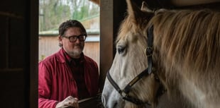 Tough times for horses and ponies