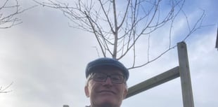 Project begins to plant Kingsbridge-funded trees around the world