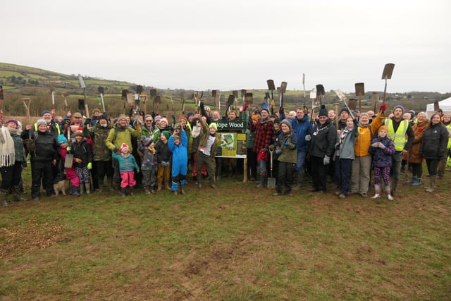 Building on Hope Wood's success: ambitious new initiative