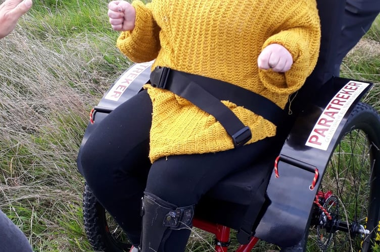 Sky wheelchair - Common Flora