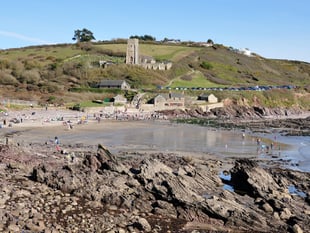 Wembury Marine Centre hosts February Rockpool Safari