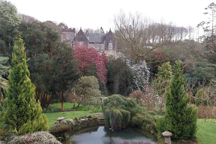 Fountain pond