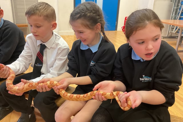 Dartmouth Academy partners with Animals 2 U Southwest