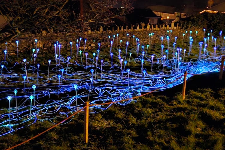 Salcombe Field of Light