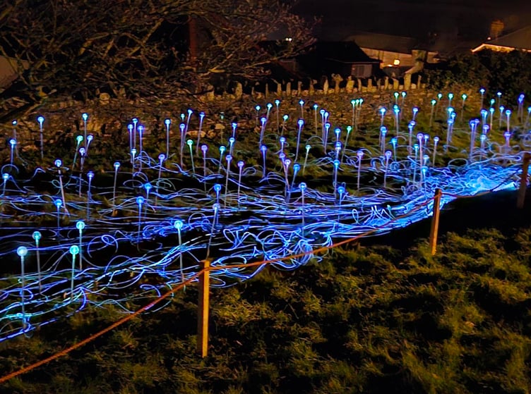 Salcombe Field of Light