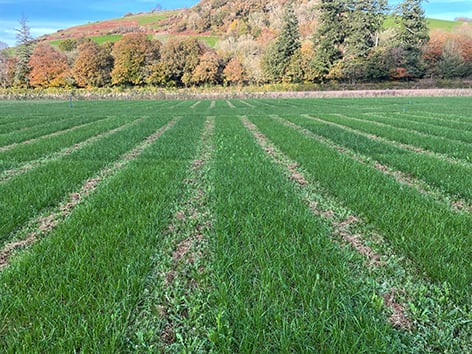 ProCam forage trials 