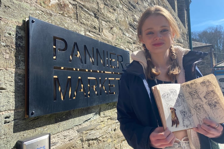 Ella Bees  is in demand for her quirky animal drawings - she had a stall in the first ever Tavistock Youth  Market.