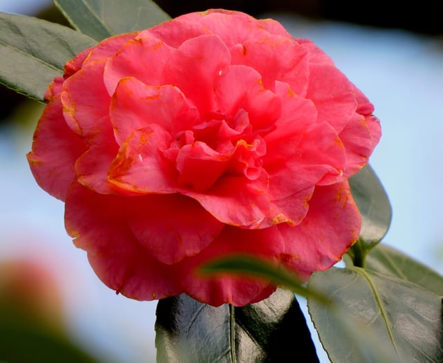 The beauty of the South Hams in readers pictures 