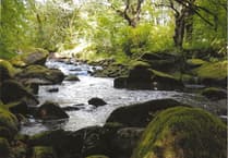 Stunning South Hams spring photos by locals