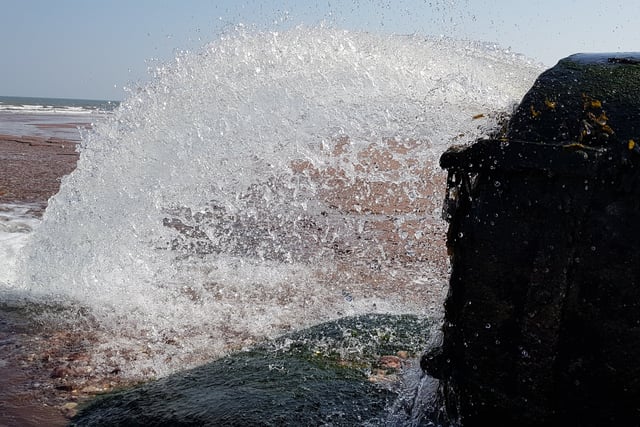 Devon MPs demand action on sewage spill