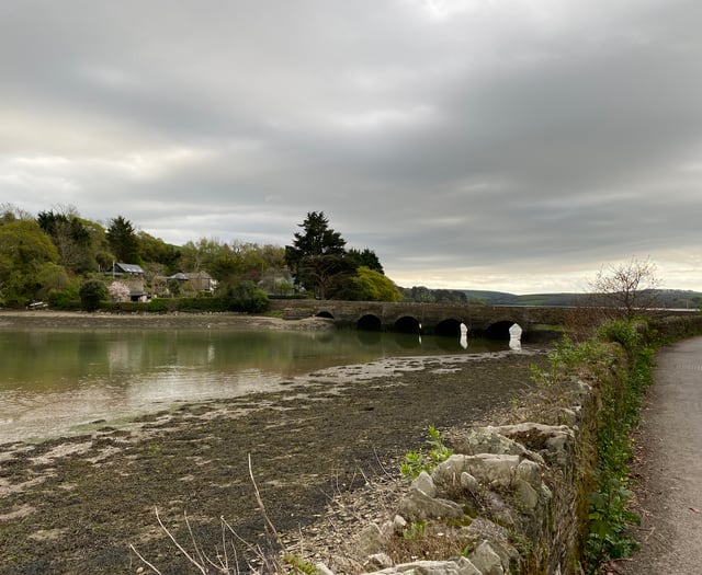 Major Incident Portal established to aid Kingsbridge murder probe