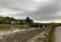 Major Incident Portal established to aid Kingsbridge murder probe