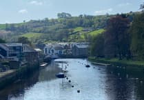 Environmental group clarifies typhoid findings