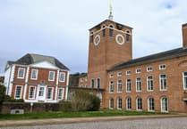 Devon Leader Advocates for Public Input on Govt Changes