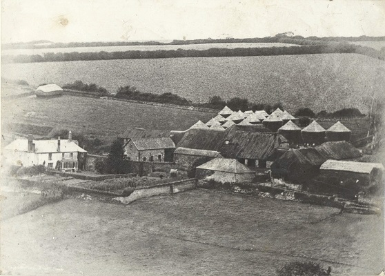 Old pictures from Cooksworthy Museum