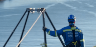 Dolphins surprise coastguard training