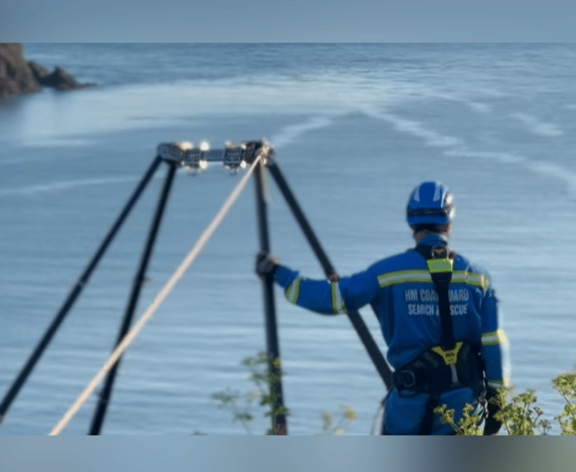 Dolphins surprise coastguard training