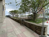 Plymouth becomes 'Tree City' with new greenery
