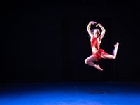 Ivybridge College dance show celebrates talent