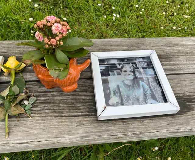 Kingsbridge man pleads not guilty to murder