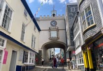 Discover Totnes' Plant Allies workshops